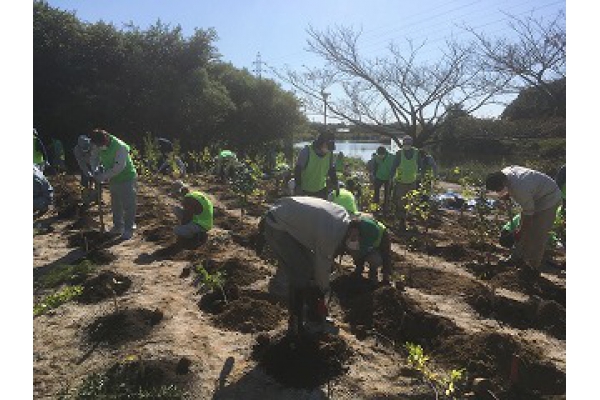 なごや西の森づくり、苗木寄付と植樹